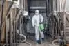 Startup And Small Business. Man Working In Factory In Protective Suit And Mask Disinfects Plant